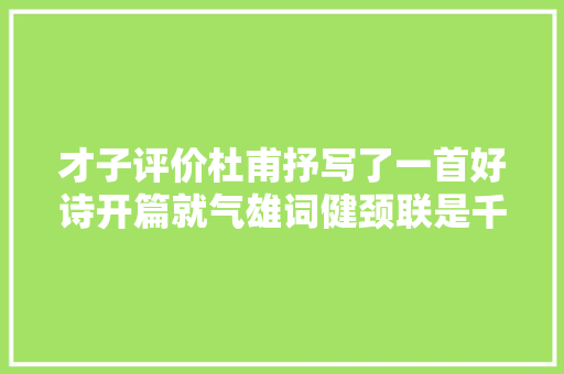才子评价杜甫抒写了一首好诗开篇就气雄词健颈联是千古名句
