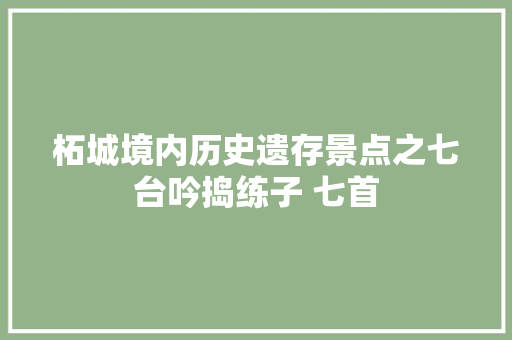 柘城境内历史遗存景点之七台吟捣练子 七首