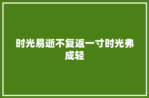 时光易逝不复返一寸时光弗成轻