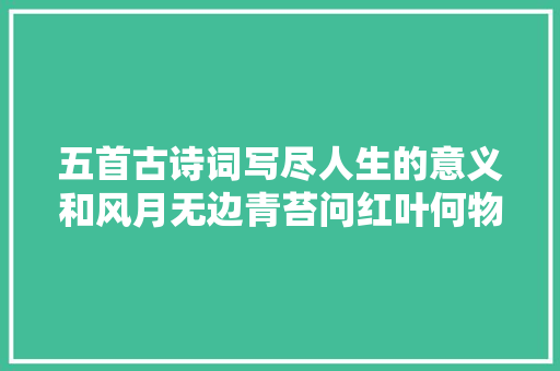 五首古诗词写尽人生的意义和风月无边青苔问红叶何物是斜阳