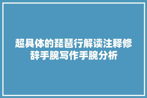 超具体的琵琶行解读注释修辞手腕写作手腕分析