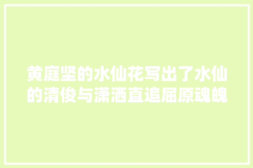 黄庭坚的水仙花写出了水仙的清俊与潇洒直追屈原魂魄