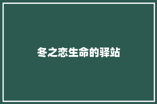 冬之恋生命的驿站