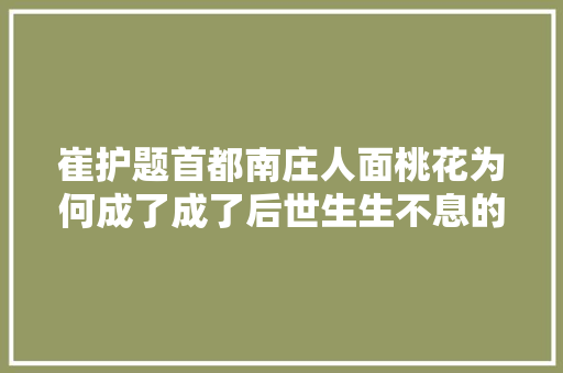 崔护题首都南庄人面桃花为何成了成了后世生生不息的追记