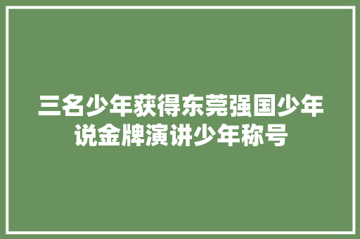 三名少年获得东莞强国少年说金牌演讲少年称号