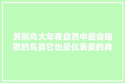 黄鹂鸟大年夜自然中最会唱歌的鸟类它也是仪表美的典范