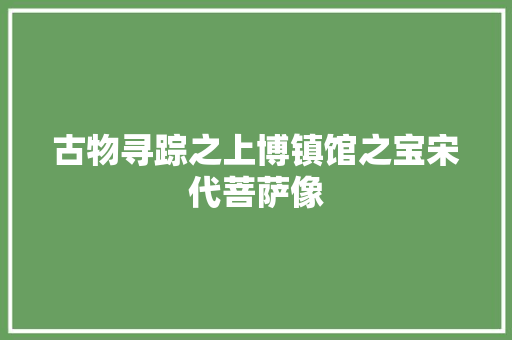 古物寻踪之上博镇馆之宝宋代菩萨像