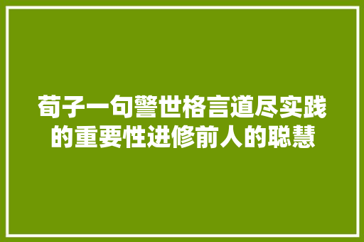 荀子一句警世格言道尽实践的重要性进修前人的聪慧