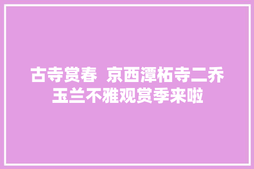 古寺赏春  京西潭柘寺二乔玉兰不雅观赏季来啦