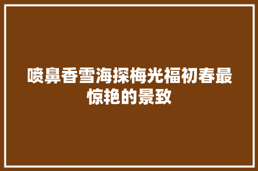 喷鼻香雪海探梅光福初春最惊艳的景致