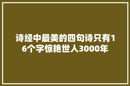 诗经中最美的四句诗只有16个字惊艳世人3000年