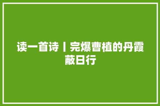 读一首诗丨完爆曹植的丹霞蔽日行