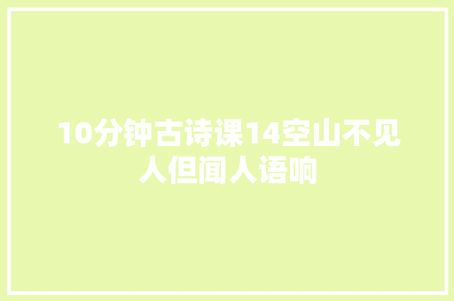10分钟古诗课14空山不见人但闻人语响