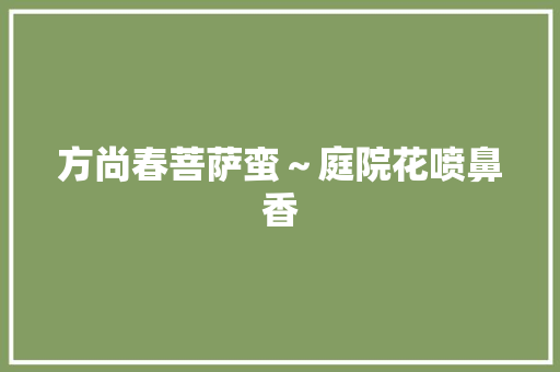 方尚春菩萨蛮～庭院花喷鼻香