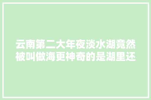 云南第二大年夜淡水湖竟然被叫做海更神奇的是湖里还长着树
