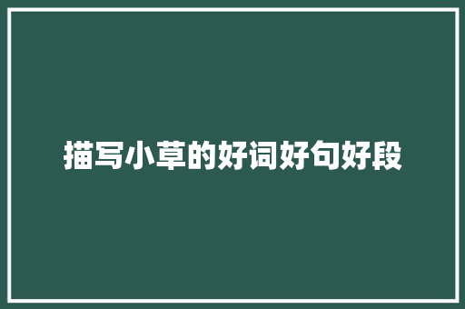 描写小草的好词好句好段