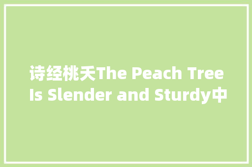 诗经桃夭The Peach Tree Is Slender and Sturdy中英文