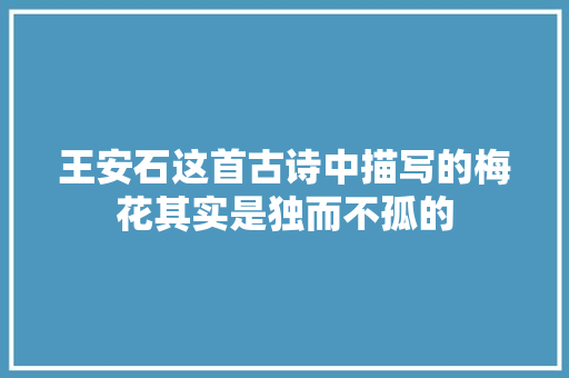 王安石这首古诗中描写的梅花其实是独而不孤的