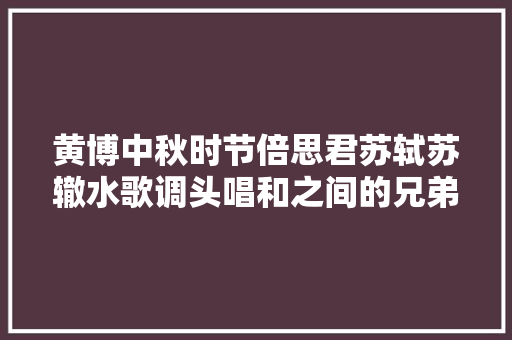 黄博中秋时节倍思君苏轼苏辙水歌调头唱和之间的兄弟情