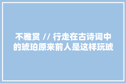 不雅赏 // 行走在古诗词中的琥珀原来前人是这样玩琥珀的