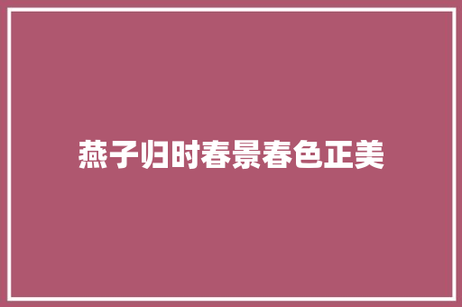 燕子归时春景春色正美