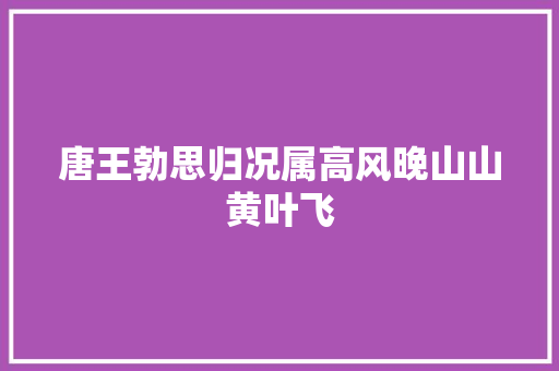 唐王勃思归况属高风晚山山黄叶飞
