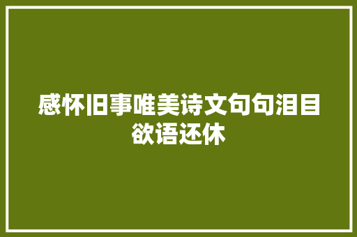 感怀旧事唯美诗文句句泪目欲语还休