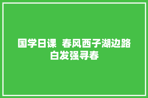 国学日课  春风西子湖边路白发强寻春