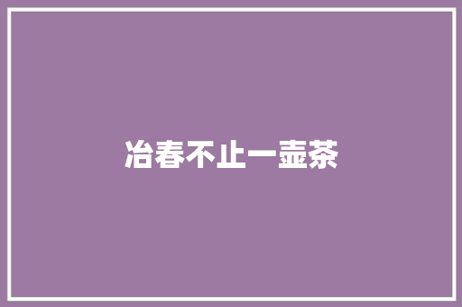 冶春不止一壶茶