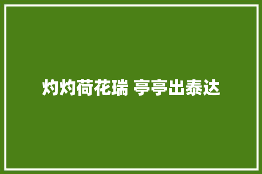 灼灼荷花瑞 亭亭出泰达