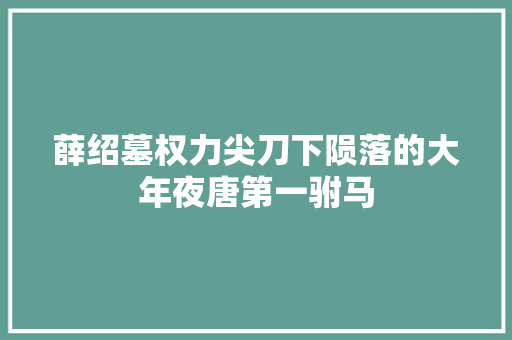 薛绍墓权力尖刀下陨落的大年夜唐第一驸马