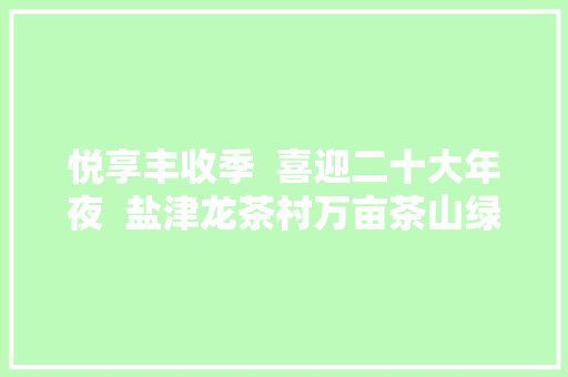 悦享丰收季  喜迎二十大年夜  盐津龙茶村万亩茶山绿意深 秋收时节采摘忙