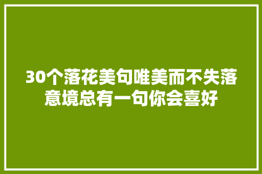 30个落花美句唯美而不失落意境总有一句你会喜好