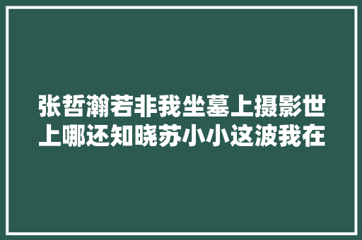 张哲瀚若非我坐墓上摄影世上哪还知晓苏小小这波我在大年夜气层