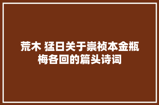 荒木 猛日关于崇祯本金瓶梅各回的篇头诗词