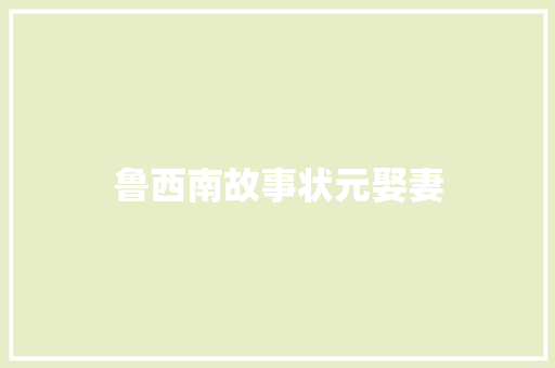 鲁西南故事状元娶妻