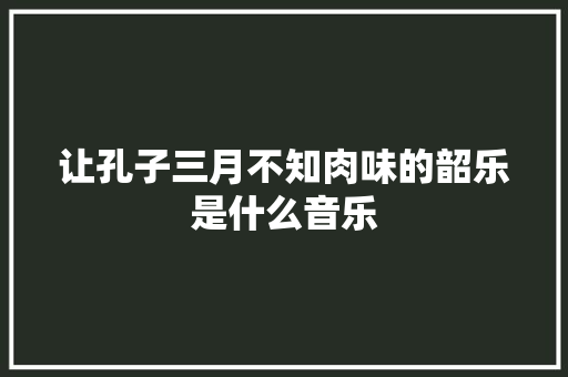 让孔子三月不知肉味的韶乐是什么音乐