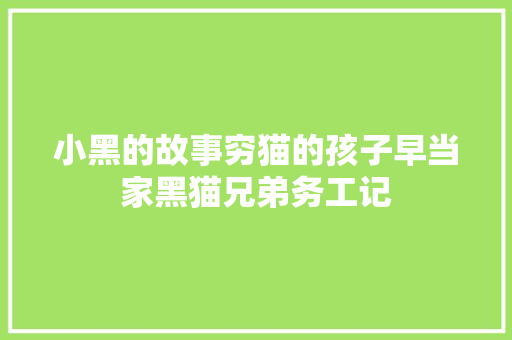 小黑的故事穷猫的孩子早当家黑猫兄弟务工记