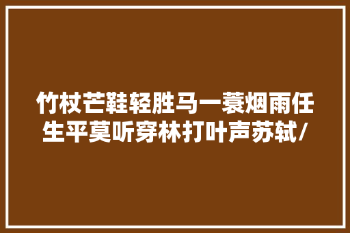 竹杖芒鞋轻胜马一蓑烟雨任生平莫听穿林打叶声苏轼/文澜珊