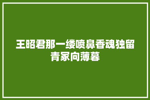 王昭君那一缕喷鼻香魂独留青冢向薄暮