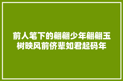 前人笔下的翩翩少年翩翩玉树映风前侪辈如君起码年
