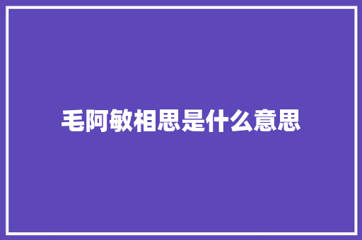 毛阿敏相思是什么意思