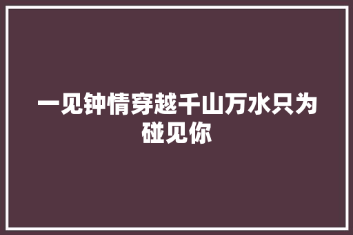 一见钟情穿越千山万水只为碰见你