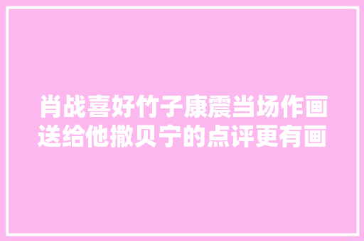 肖战喜好竹子康震当场作画送给他撒贝宁的点评更有画面感
