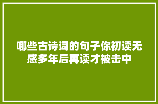 哪些古诗词的句子你初读无感多年后再读才被击中