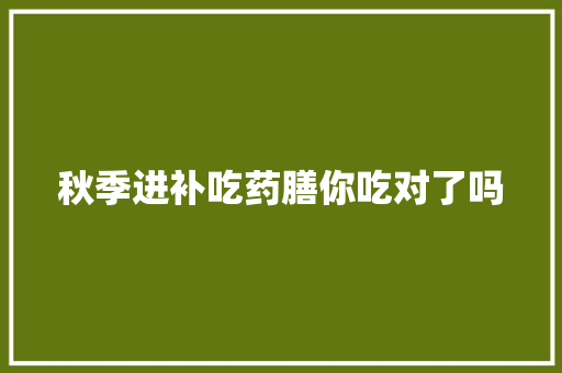 秋季进补吃药膳你吃对了吗