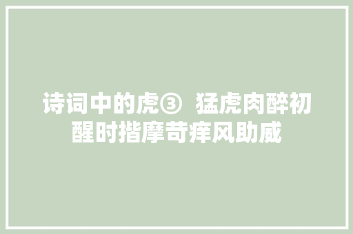 诗词中的虎③  猛虎肉醉初醒时揩摩苛痒风助威