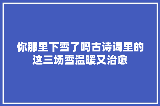 你那里下雪了吗古诗词里的这三场雪温暖又治愈