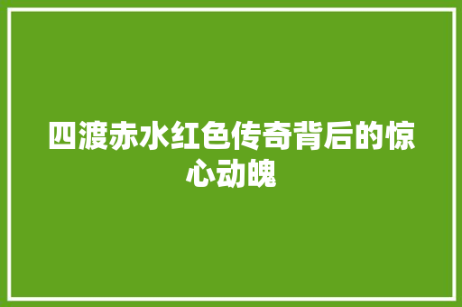 四渡赤水红色传奇背后的惊心动魄
