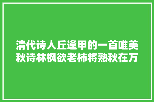 清代诗人丘逢甲的一首唯美秋诗林枫欲老柿将熟秋在万山深处红